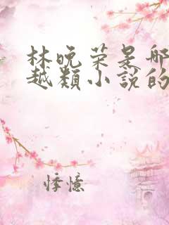 林晚荣是哪部穿越类小说的主人公