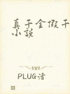 真千金假千金的小说