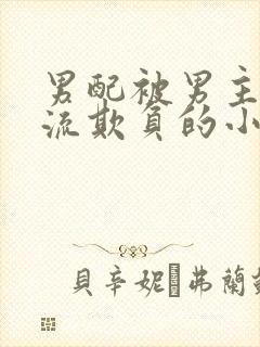 男配被男主们轮流欺负的小说