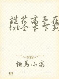 护花高手在都市txt全本下载