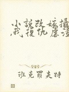 小说改嫁摄政王,我复仇虐渣妹