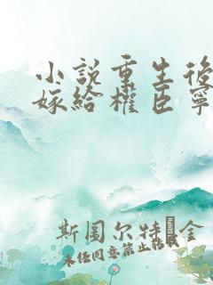 小说重生后绝不嫁给权臣宁芙在线阅读