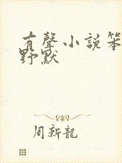 有声小说笨花李野默