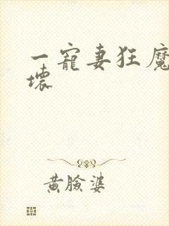 一宠妻狂魔别太坏