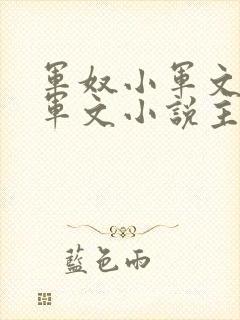 军奴小军文by军文小说主角