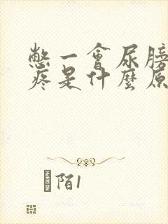 憋一会尿膀胱就疼是什么原因