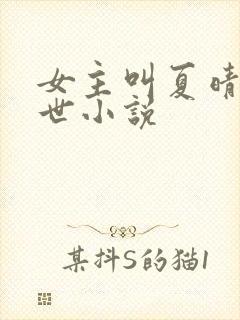 女主叫夏晴的末世小说