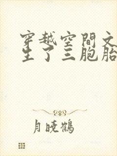 穿越空间文女主生了三胞胎