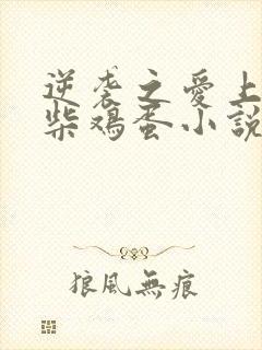 逆袭之爱上情敌柴鸡蛋小说最新篇章