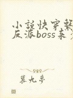 小说快穿系统之反派boss来袭txt