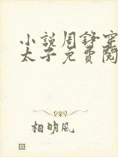 小说周铮穿越成太子免费阅读