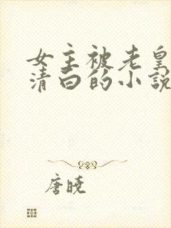女主被老皇帝毁清白的小说