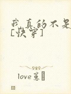 我真的不是渣攻[快穿]