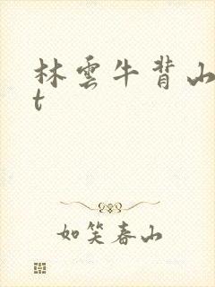 林云牛背山txt