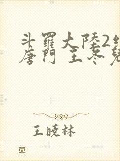 斗罗大陆2绝世唐门 王冬儿