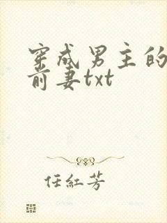 穿成男主的炮灰前妻txt