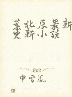 叶北辰最新章节更新小说