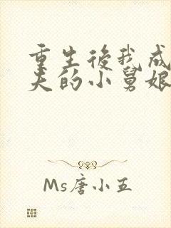 重生后我成了前夫的小舅娘全文免费阅读