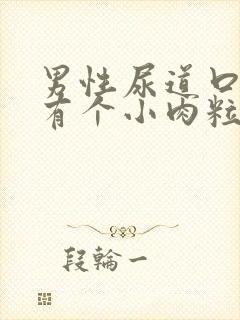 男性尿道口里面有个小肉粒