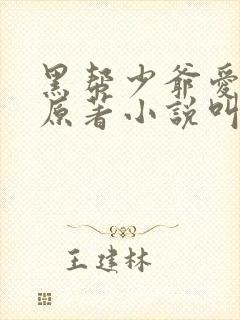黑帮少爷爱上我原著小说叫什么