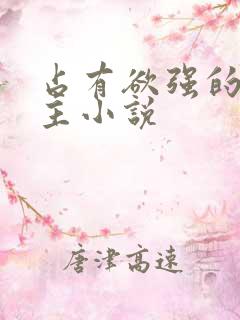 占有欲强的双男主小说