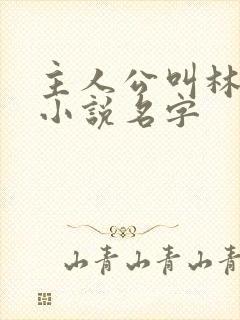 主人公叫林辰的小说名字