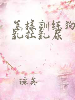 怎样训练狗狗不乱拉乱尿