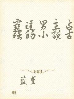 霸道男主占有欲强的小说古言