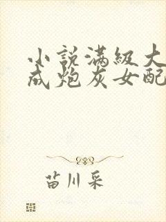 小说满级大佬穿成炮灰女配下载