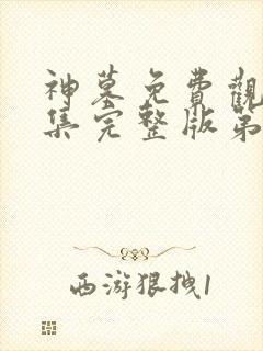 神墓免费观看全集完整版第三季动漫