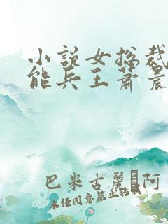 小说女总裁的全能兵王萧晨