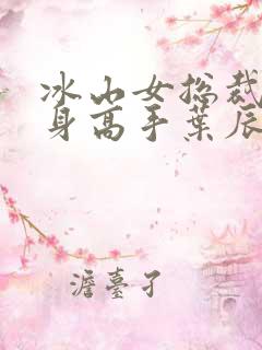 冰山女总裁的贴身高手叶辰