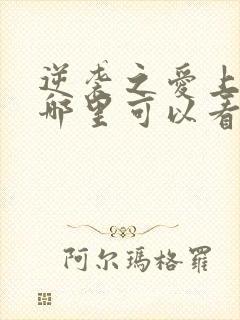 逆袭之爱上情敌哪里可以看