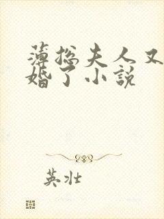 薄总夫人又提离婚了小说