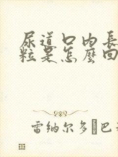 尿道口内长小颗粒是怎么回事