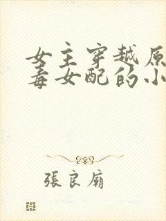 女主穿越原耽恶毒女配的小说