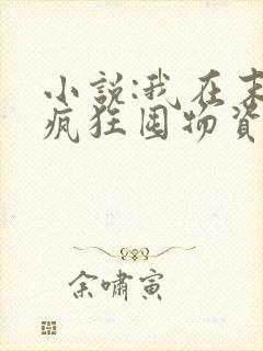 小说:我在末世疯狂囤物资