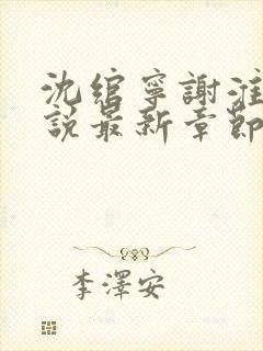 沈绾宁谢淮今小说最新章节免费阅读