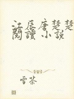 江辰唐楚楚在线阅读 小说