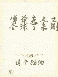 傅爷夫人又惊艳全球了未删减