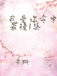 我爱你命中注定最后1集