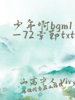 少年啊bgm1—72章节txt