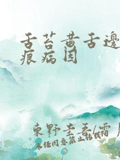 舌苔黄舌边有齿痕病因