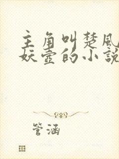 主角叫楚风有炼妖壶的小说