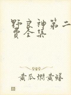 野良神第二季免费全集