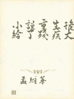 小说重生后我嫁给了残疾大佬