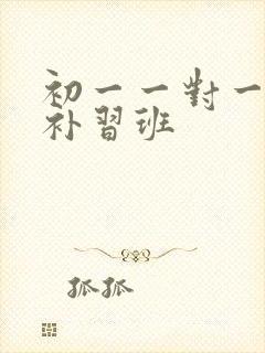 初一一对一物理补习班