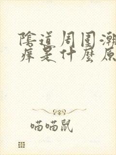 阴道周围潮湿瘙痒是什么原因