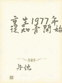 重生1977年从知青开始的小说