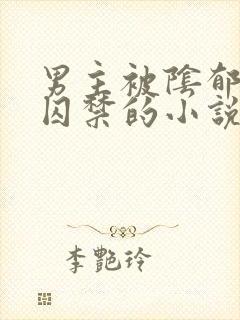 男主被阴郁疯批囚禁的小说